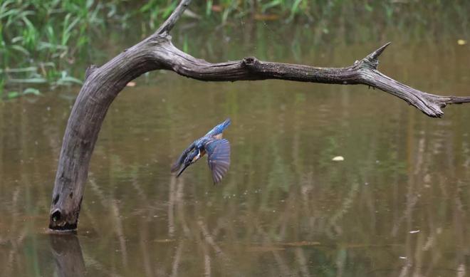 画幅专微相机EOS R6 Mark III爱游戏网站入口拍摄 能力大幅提升佳能发布全(图4)